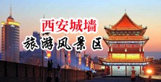 美女干屄视频网站中国陕西-西安城墙旅游风景区